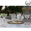 ct0014-martini-japan-style-cocktail-glass-hoa-tiet