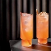 hb023-japanese-style-highball-glass-2-tang-mong-soc
