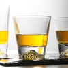 hb025-fuji-highball-glass