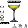 440236-winston-coupe-champagne-glass