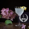 ct0045-nick-and-nora-cocktail-glass
