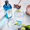 bombay-sapphire-london-dry-gin