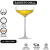 ct0025-schott-special-champagne-saucer-glass