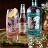 sipsmith-london-dry-gin
