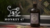 gin-monkey-47