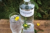 the-botanist-islay-dry-gin