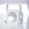 den-led-trong-nha-100w-par-cob