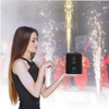 may-phun-tia-tia-lua-dien-mini-350w-lcc-tl350-may-ban-phao-dien-350w