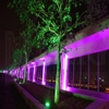 den-par-led-54x3w-rgbw-cho-dam-cuoi-tran-thap
