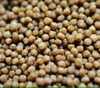 Mồi Chép Hạt Số 0