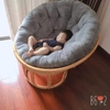 dem-lot-ghe-may-dem-lot-xich-du-papasan-loai-1m-1m2