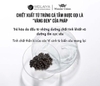 Bộ dầu gội phục hồi đa tầng giúp tóc bồng bềnh, bóng mượt Nấm Truffle Weilaiya 450ml + 450ml (có VAT)