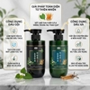 Cặp Dầu Gội Xả Đông Trùng Hạ Thảo, Phục Hồi Tóc Nature Beauty Heartleaf & Cordyceps Cool (có VAT)