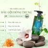 Cặp Dầu Gội Xả Đông Trùng Hạ Thảo, Phục Hồi Tóc Nature Beauty Heartleaf & Cordyceps Cool (có VAT)