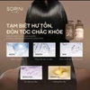 Cặp Dầu Gội Xả Phục Hồi Giảm Gãy Rụng, Làm Sạch Chống Bết Tóc NMN Bakuchiol Sorini Lab