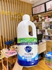 Nước rửa chén diệt khuẩn KAO Kyukyutto Clear 1380mL nội địa Nhật (có VAT)