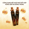 Đông trùng 60 ống bổ dược Hoàng Đế 365 Hwangjin Liquid Gold thượng hạng Hộp 60 Ống x 20ml (Hình Rồng)