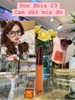 Son kem lì Bbia Last Velvet Lip Tint