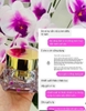 Kem hủy nám Cell Ula Melano RC cream Whitening functional cosmetics 50ml