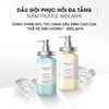 Bộ dầu gội phục hồi đa tầng giúp tóc bồng bềnh, bóng mượt Nấm Truffle Weilaiya 450ml + 450ml (có VAT)