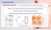 Mặt nạ nâng cơ bổ sung Collagen tươi DR. Gene Ulcelook Pion_Tech
