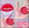 Son Dưỡng Môi Vaseline Lip Therapy Rosy Lips 20g bản UK (hương hoa hồng)