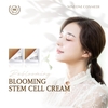 Kem trắng da giảm nám tàn nhang Stem Cell Cream Luxury Blooming Reblom