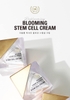 Kem trắng da giảm nám tàn nhang Stem Cell Cream Luxury Blooming Reblom