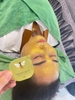 Mặt Nạ Vàng Chiết Xuất Mật Ong Chúa Progloss Gold Capsule Wash Off Mask