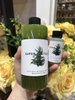 Sữa rửa mặt rau củ Super Vegitoks Cleanser màu xanh sủi bọt thải độc (có hóa đơn VAT)