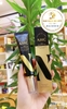 Kem Dưỡng Mắt Vàng 24K AHC Premier Ampoule In Eye Cream ( nội địa Hàn Quốc )