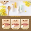 Son Dưỡng Innisfree Canola Honey Lip Balm Deep Moisture.