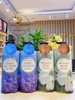 Sữa tắm nước hoa Daily Moisture Perfume Body Wash On: The Body 1100ml