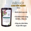 Dầu gội thảo dược dành cho tóc rụng KLORANE Strength - Thinning Hair, Loss & Organic 400ml