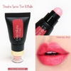 Son 2 in 1 đầu son dưỡng, son tint Dreskin Satin Tint & Balm