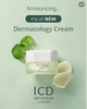 Kem Dưỡng Ẩm trắng sáng căng bóng mịn màng Dermatology Cream Incellderm 50ml