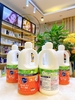 Nước rửa chén diệt khuẩn KAO Kyukyutto Clear 1380mL nội địa Nhật (có VAT)