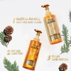 Bộ Dầu Gội Xả Phục Hồi, Giảm Gãy Rụng Loreal Paris Extraordinary Oil Smooth 440ml*2 (Hàng Công Ty )