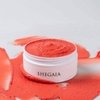 Mặt nạ tăng cường da se khít lỗ chân lông SHEGAIA Dragon Blood Exosome Pore Procedure Mask 150g