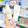 Tinh Chất Dưỡng Trắng, Phụ Hồi căng bóng da Dr.Pepti Centella Dark Spot Solution Ampoule 30ml (có hóa đơn VAT)