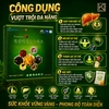 Bổ Gan Giải Rượu Hắc Sâm Đông Trùng Hạ Thảo Premium A+ Black Ginseng Oriental Raisin Cordyceps Militaris Dodampos CM (70ml*30 gói)