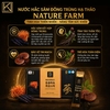 Tinh chất hắc sâm đông trùng Nature Farm Everydays Black Ginseng Peacilomyces Japonica Stick 60 gói
