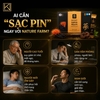 Tinh chất hắc sâm đông trùng Nature Farm Everydays Black Ginseng Peacilomyces Japonica Stick 60 gói