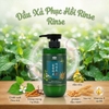 Cặp Dầu Gội Xả Đông Trùng Hạ Thảo, Phục Hồi Tóc Nature Beauty Heartleaf & Cordyceps Cool (có VAT)