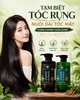 Cặp Dầu Gội Xả Đông Trùng Hạ Thảo, Phục Hồi Tóc Nature Beauty Heartleaf & Cordyceps Cool (có VAT)
