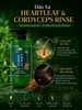 Cặp Dầu Gội Xả Đông Trùng Hạ Thảo, Phục Hồi Tóc Nature Beauty Heartleaf & Cordyceps Cool (có VAT)
