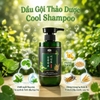 Cặp Dầu Gội Xả Đông Trùng Hạ Thảo, Phục Hồi Tóc Nature Beauty Heartleaf & Cordyceps Cool (có VAT)
