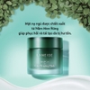 Mặt nạ ngủ dưỡng da rạng rỡ Laneige Special Care