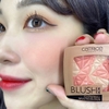 Phấn Má Hồng Catrice Blush Box Glowing Multicolour 010 (tone Cam Đào)