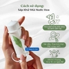 Lăn Khử Mùi Trà Xanh Thơm Mát, Kháng Khuẩn Elizabeth Arden Green Tea Cream Deodorant 40ml